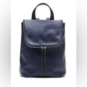 Banana Republic Navy Leather Backpack